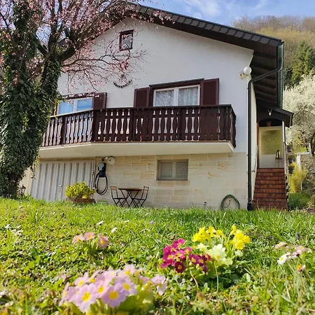 Palmehueuesle Holiday home *